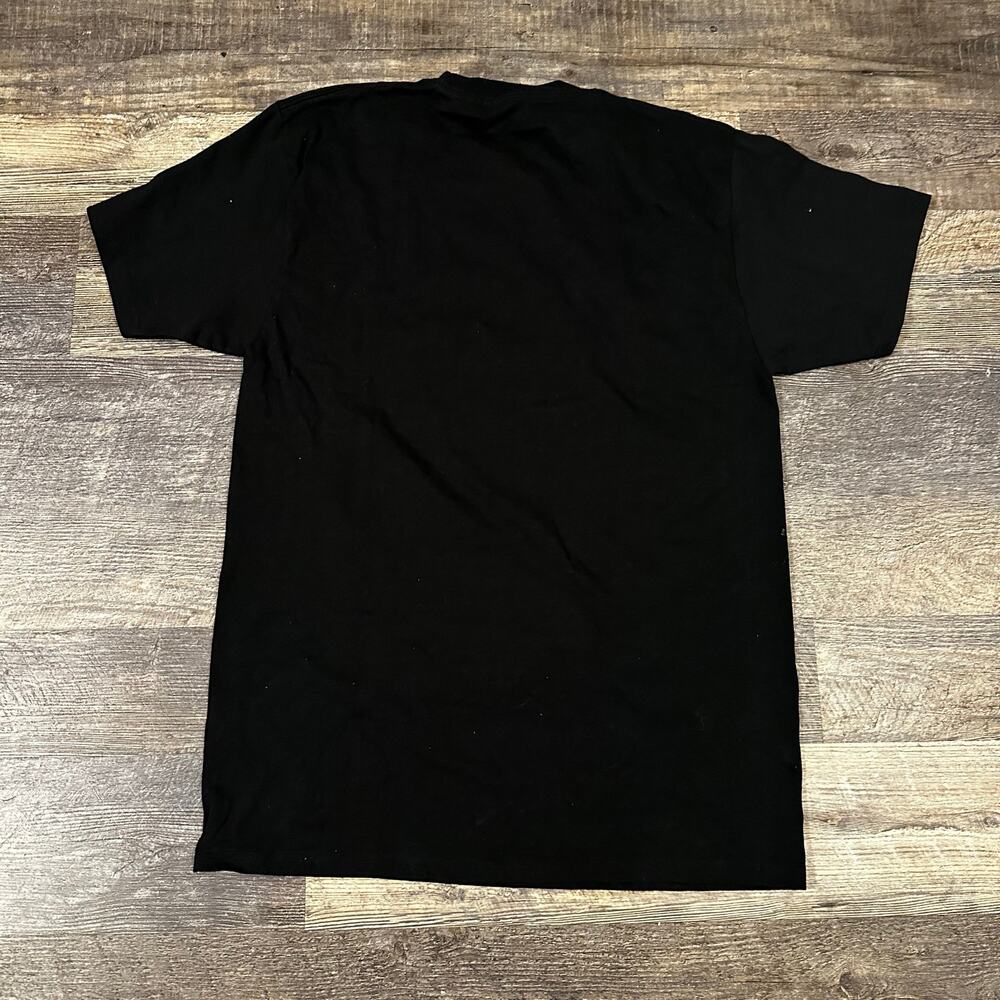 Pacsun Earth Fire Wind Graphic Tee Medium - Picture 2 of 2
